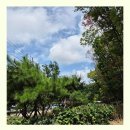 조원공원 이미지