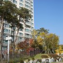 조원동-2 이미지