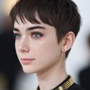 픽시하우스 이미지