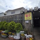 봉화식당 | [순천 맛집] 성가롤로병원 근처 '봉화식당' : 정갈한 소쿠리 한상차림 후기