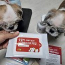 마리팜약국 이미지