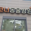코너동물병원 | 대구 중구 대봉동 코너동물병원 애견안전문