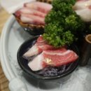 군참치 이미지