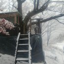 이브농장 이미지