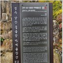 (231104) 경주 남산...(1) 이미지