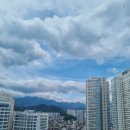 피제리아누볼라 이미지