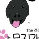 건강하개 수제간식 이미지