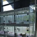 내품안의 반려견 김포점 이미지