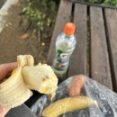 에듀올원격학원 | 2025-2회 건축사 시험 2교시 후기 (1,3교시 기합격, 2교시만 응시, 복기도면,연습도면 포함)