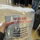 도쿄 1일차 (몬자야키, 츠지한, 우에노 공원, 도쿄타워, 도쿄 벚꽃, 알몬트 호텔 닛포리, 스카이라이너)