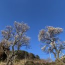 구조라로 2길 이미지