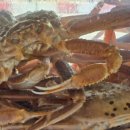 미혜민박 이미지