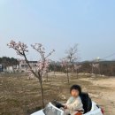 경주 보문 슈슈풀빌라A,B 이미지