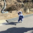 봉암수퍼 | 마산 아이랑 산책하기 좋은곳 봉암수원지 물고기밥주기 실패