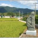 의흥동부초 이미지