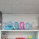 우다다햄쮸 이미지