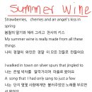 Nancy Sinatra & Lee Hazlewood √ Summer Wine √ Lyrics 이미지