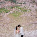 무드포미 | [야외스냅] 행궁동 스냅 드레스 포미 드레스 아이리스 미카도 실크 착용 후기 (사이즈 팁)