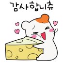 서초대로34길 19 이미지