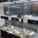 오하이독 안심분양센터 김포점 이미지