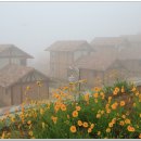 강빛마을 이미지