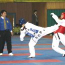 강진태권도 이미지