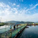 만정1호 이미지