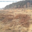 장항리 마을회관 이미지