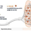 가상 핵융합로·암흑에너지·신경망 재건 등 &#34;과학난제도전&#34; 이미지