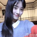 키쿠 이미지