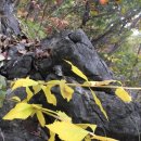 천하고물상 이미지