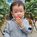 태성농장 이미지