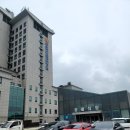 지혜목장 | 동국대일산병원장례식장에서 공감수목장까지 3일간의 마지막 길 동행 후기