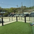 펫프닝 타운 | [내돈내산] 안서동 입장료 없는 애견카페 "펫프닝 타운" 후기