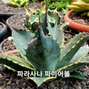 창전농장 이미지