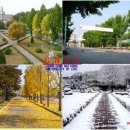 춘천교육대학교 이미지