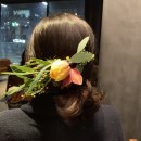 블룸슈타인 이미지