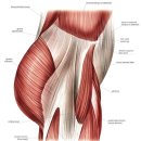 에이원 토탈 휘트니스 이미지
