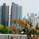 영선신시장 이미지