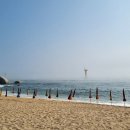 세븐일레븐 강릉사천진리점 이미지