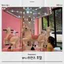 대천 버니프렌즈 호텔 키즈카페와 아람북스 도서관 완벽후기