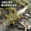 지독농장 네이버블로그