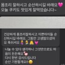 (주)신세계의료기 | 2)🤍🐣쌍둥이임신22주-29주까지 (자궁내성장지연 모니터링, 임산부치질, 출산휴가, 셀프만삭촬영, 태교...