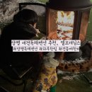 [오늘도 루시랑,] 양평애견독채펜션 견종제한없는, 엘프개님스🏠