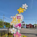 화순천 | 전라남도 여행 화순 봄꽃축제 꽃강길 음악분수