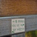 006-조리-006 | 006. 배부르면 조금 행복해지니까