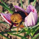 (주)우루루 이미지