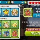하하쿠키