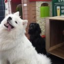 남포아지트 이미지