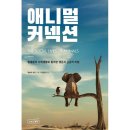 예스 애니멀 이미지